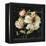 Marche de Fleurs on Black II-Lisa Audit-Framed Stretched Canvas