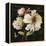 Marche de Fleurs on Black II-Lisa Audit-Framed Stretched Canvas