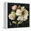 Marche de Fleurs on Black II-Lisa Audit-Framed Stretched Canvas