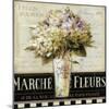 Marche de  Fleurs-Lisa Audit-Mounted Art Print