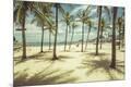Premium Photographic Print