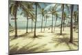 Photographic Print