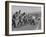 Marching Band Going Through Their Routines During Bands of America-Alfred Eisenstaedt-Framed Photographic Print