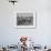 Marching Band Going Through Their Routines During Bands of America-Alfred Eisenstaedt-Framed Photographic Print displayed on a wall