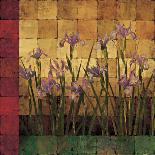 Iris Garden-Marcia Wells-Framed Stretched Canvas