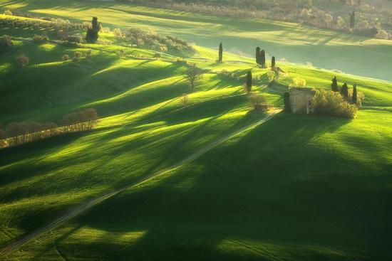 Photographic Print, , large