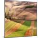 Premium Photographic Print