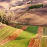 Fields by the Pond-Marcin Sobas-Photographic Print