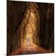 Premium Photographic Print