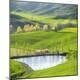 Premium Photographic Print