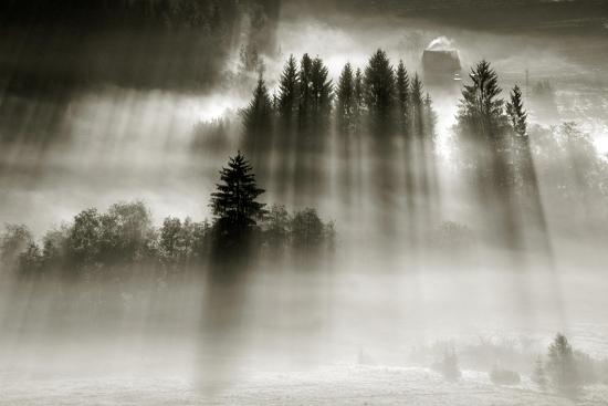Photographic Print, , large