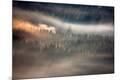 Premium Photographic Print