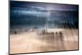 Premium Photographic Print