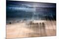 Premium Photographic Print