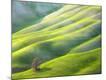 Premium Photographic Print