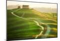 Premium Photographic Print