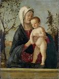 Madonna Adoring the Child, C.1520-Marco Basaiti-Framed Giclee Print