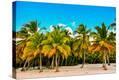 Stretched Canvas Print