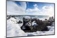 Photographic Print