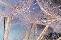 Premium Photographic Print