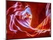 Premium Photographic Print