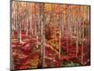 Premium Photographic Print