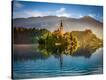 Stretched Canvas Print