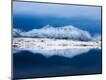 Premium Photographic Print