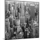 Premium Photographic Print