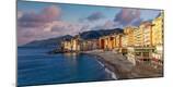 Photographic Print