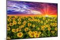 Premium Photographic Print