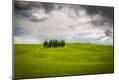 Photographic Print