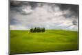 Photographic Print