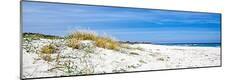 Premium Photographic Print