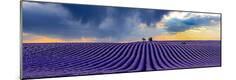Premium Photographic Print