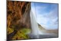 Photographic Print