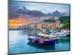 Premium Photographic Print