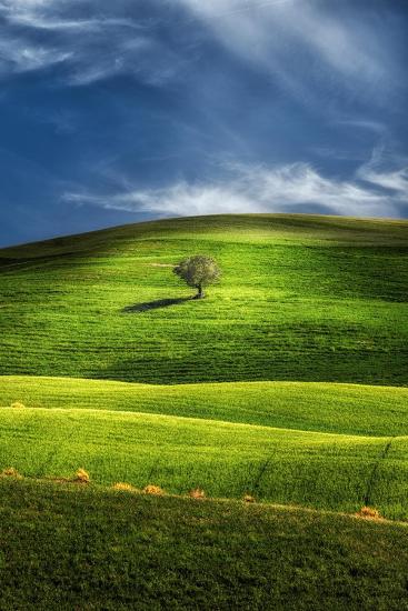 Photographic Print, , large