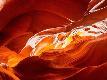 Premium Photographic Print
