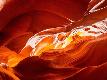 Premium Photographic Print