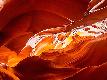Premium Photographic Print
