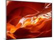 Premium Photographic Print