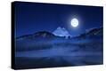 Stretched Canvas Print