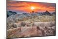 Premium Photographic Print