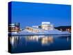 Stretched Canvas Print