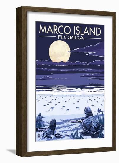 Marco Island, Florida - Baby Sea Turtles-Lantern Press-Framed Premium Giclee Print