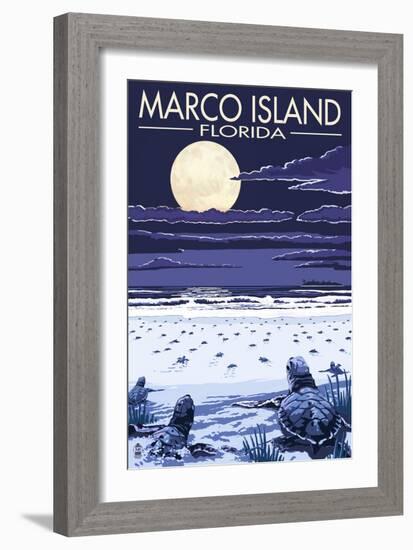 Marco Island, Florida - Baby Sea Turtles-Lantern Press-Framed Art Print