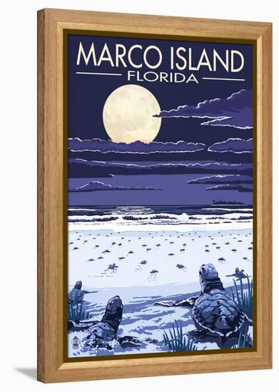 Marco Island, Florida - Baby Sea Turtles-Lantern Press-Framed Stretched Canvas