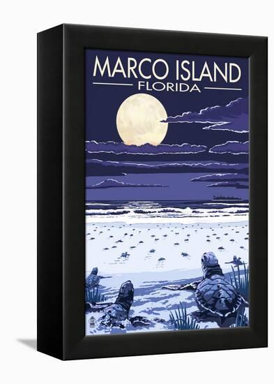 Marco Island, Florida - Baby Sea Turtles-Lantern Press-Framed Stretched Canvas