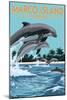 Marco Island, Florida - Dolphins Jumping-Lantern Press-Mounted Art Print